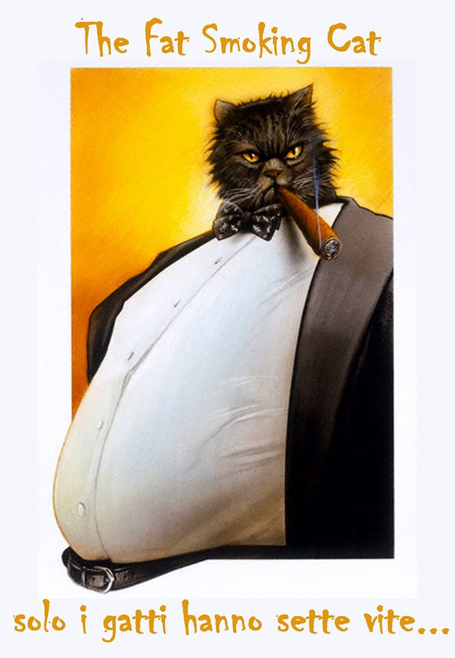 THA-FAT-SMOKING-CAT-IMMAGINE-PER-MAGLIETTA-FUMO