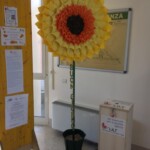 i fiori delle volontarie al centro oncologico
